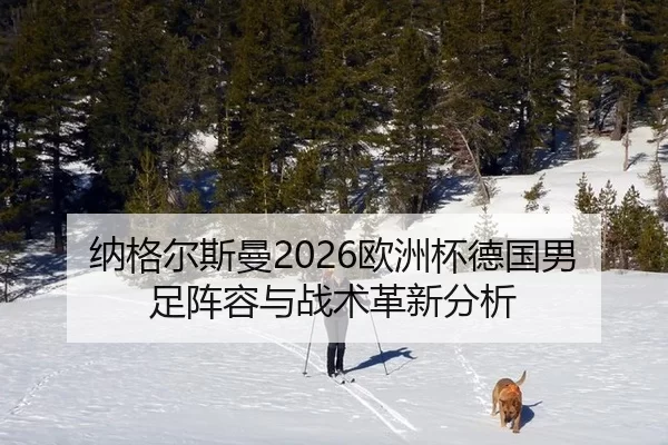 na-ge-er-si-man-ou-zhou-bei-de-guo-nan-zu-zhen-rong-yu-zhan-shu-ge-xin-fen-xi-2-202.jpg